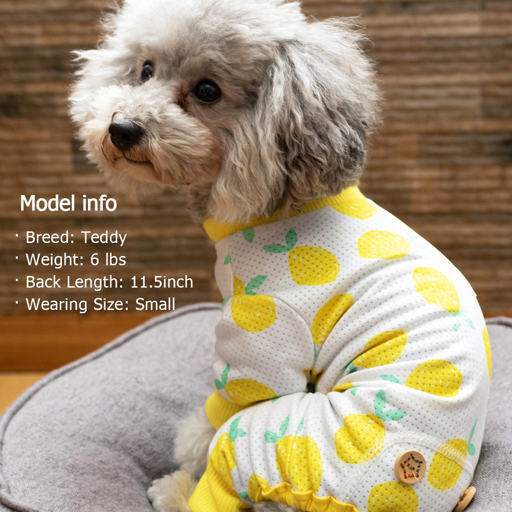 KYEESE Dog Pajamas Stretchable Dog Pjs 4 Legs Pet PJS Lemon Lightweigh –  kyeesewear